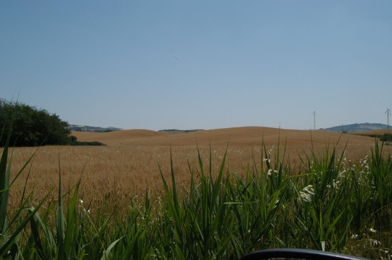 BIBBONA CAMPAGNA